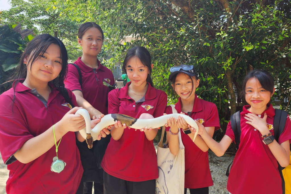 Sri Emas International School student at G2G Animal Garden having a hands-on learning adventure.