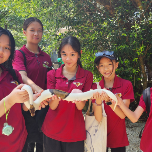 Sri Emas International School student at G2G Animal Garden having a hands-on learning adventure.